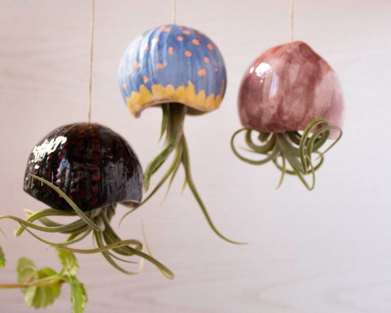 Jardinière suspendue méduse en céramique 7x32 cm pour tillandsia