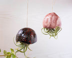 Jardinière suspendue méduse en céramique 7x32 cm pour tillandsia