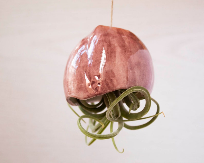 Jardinière suspendue méduse en céramique 7x32 cm pour tillandsia