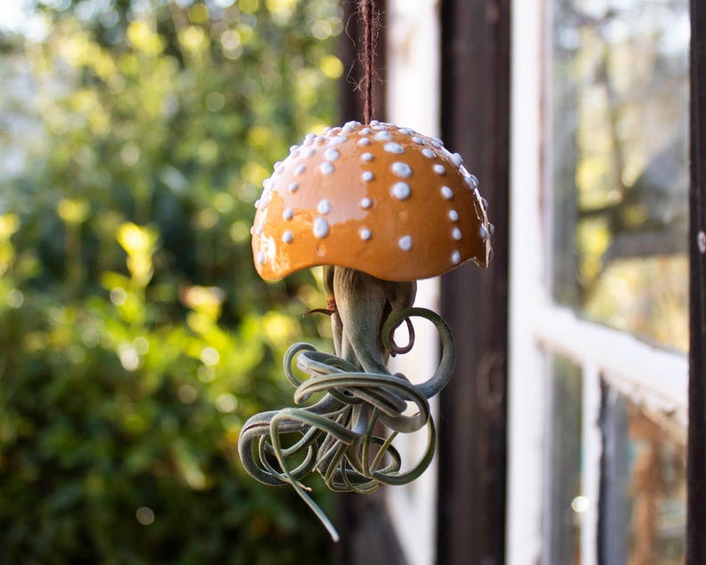 Porte-plante en céramique en forme de champignon, décoration suspendue pour tillandsia, 7 cm