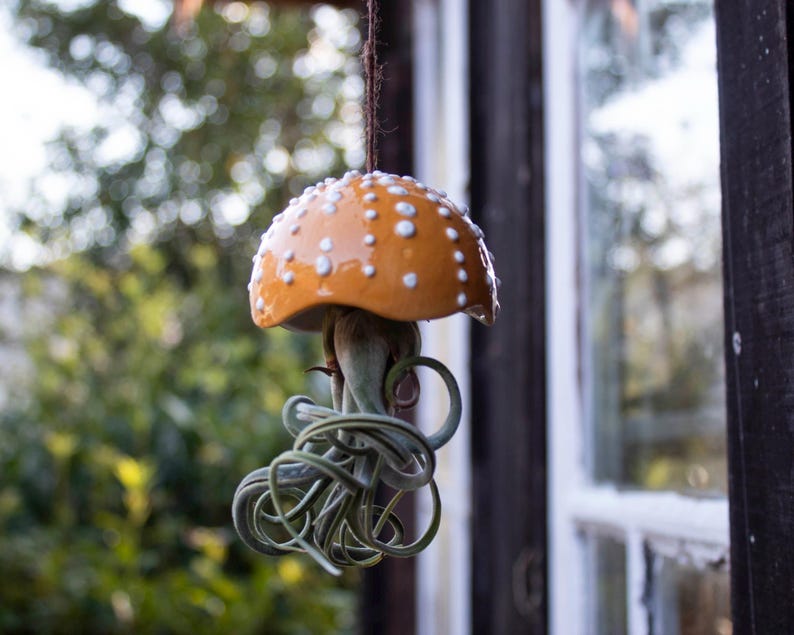 Porte-plante en céramique en forme de champignon, décoration suspendue pour tillandsia, 7 cm