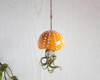 Porte-plante en céramique en forme de champignon, décoration suspendue pour tillandsia, 7 cm