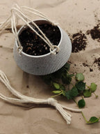 Cache-pot inversé pour plantes d'intérieur, pot à l'envers avec filet et anneau, petit et grand formats