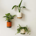 Pot mural auto-irrigué avec réservoir d'eau - Design minimaliste 120x90 mm
