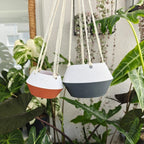 Cache-pot inversé pour plantes d'intérieur, pot à l'envers avec filet et anneau, petit et grand formats
