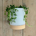 Jardinière murale moderne imprimée en 3D avec soucoupe, 120x90mm, PLA, pour plantes succulentes
