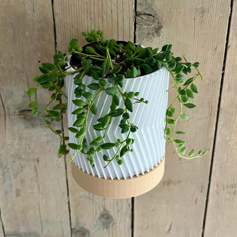 Jardinière murale moderne imprimée en 3D avec soucoupe, 120x90mm, PLA, pour plantes succulentes