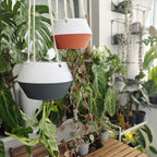 Cache-pot inversé pour plantes d'intérieur, pot à l'envers avec filet et anneau, petit et grand formats