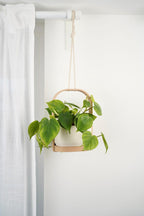 Jardinière suspendue d'intérieur minimaliste moderne avec cadre et soucoupe, style scandinave