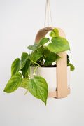 Jardinière suspendue d'intérieur minimaliste moderne avec cadre et soucoupe, style scandinave