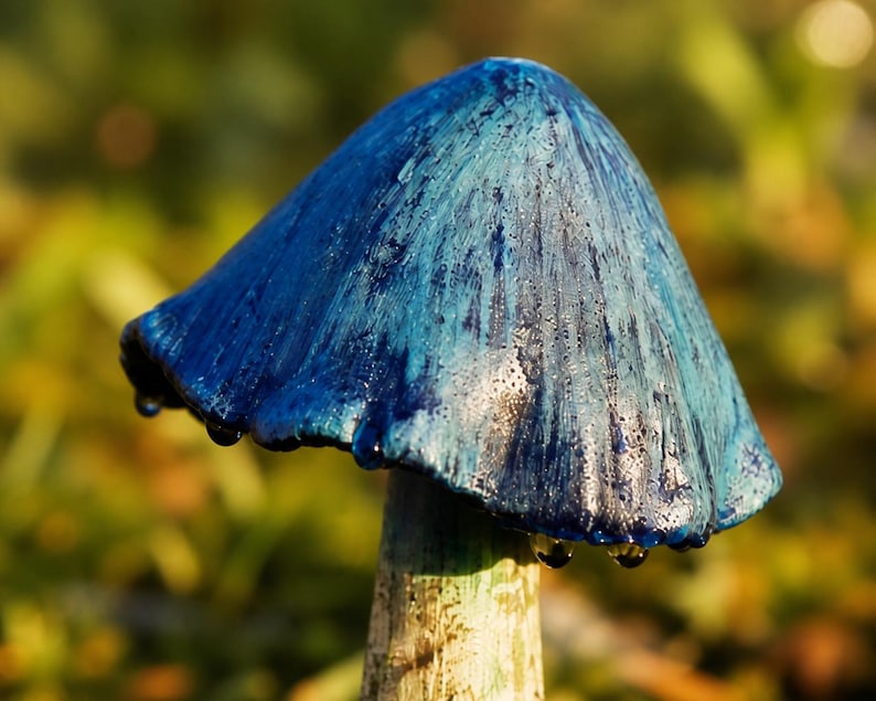 Statue de jardin champignon bleu, décoration féerique, figurine en résine 10 cm