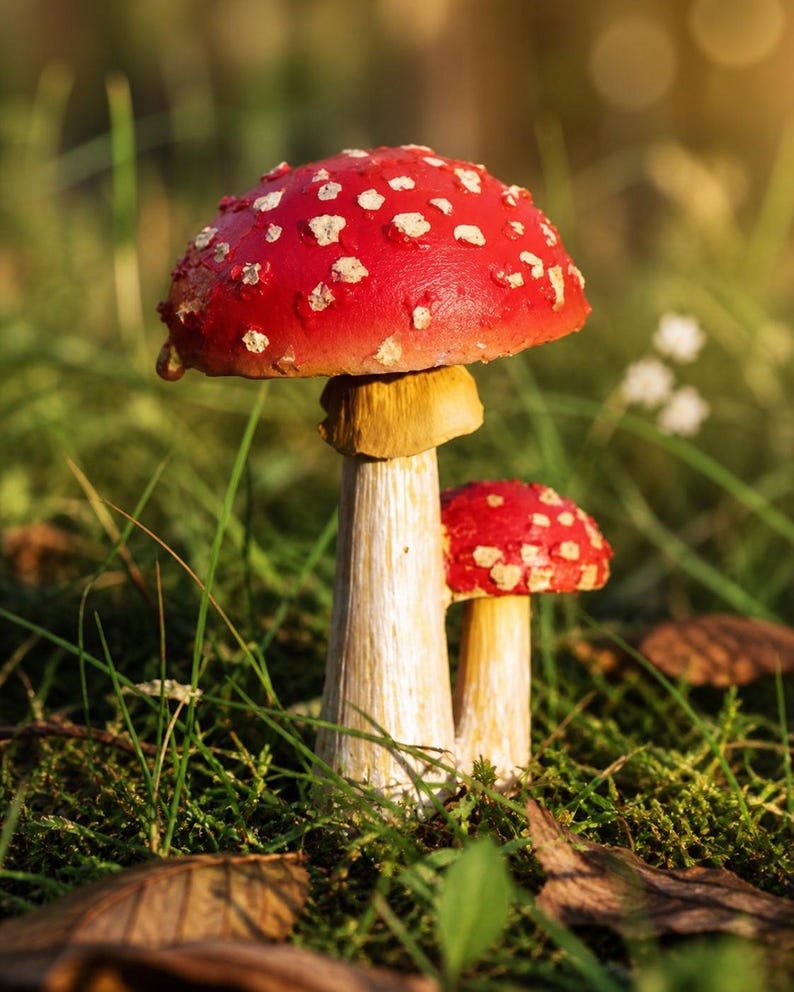 Champignon rouge décoration jardin, ornement en résine, hauteur 10 cm