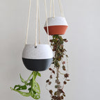 Cache-pot inversé pour plantes d'intérieur, pot à l'envers avec filet et anneau, petit et grand formats
