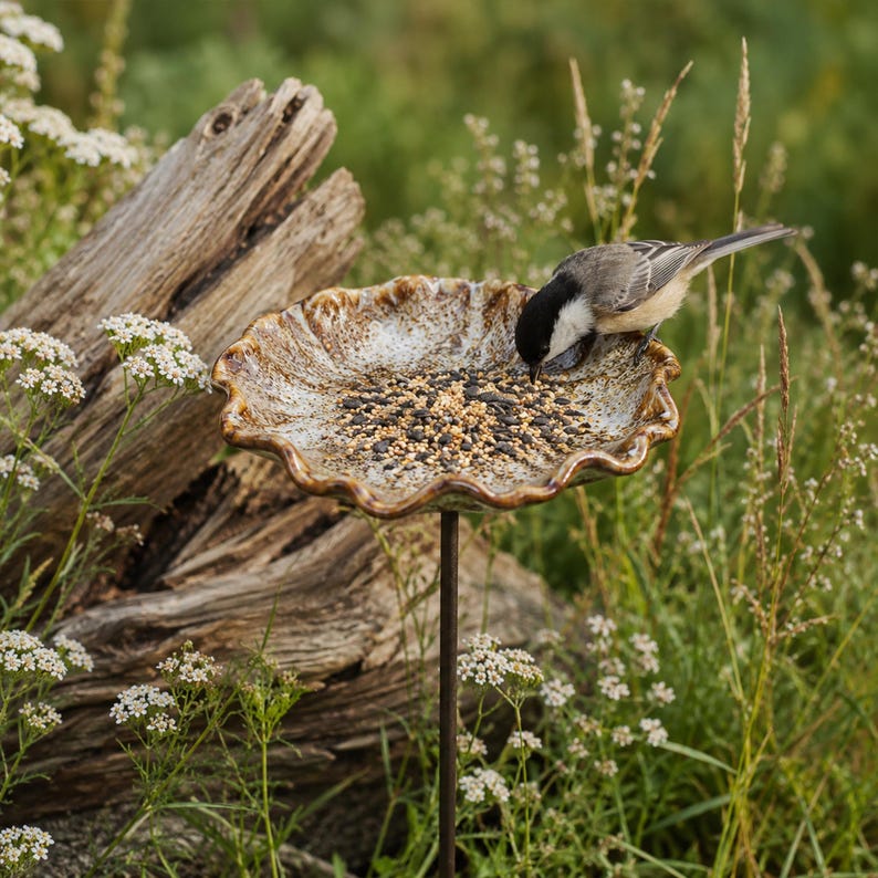 Abreuvoir pour abeilles en céramique avec piquet, mangeoire pour oiseaux et bain d'oiseaux