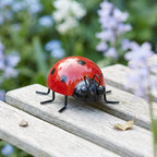 Décoration murale coccinelle en métal, figurine de jardin extérieur, ornement de clôture